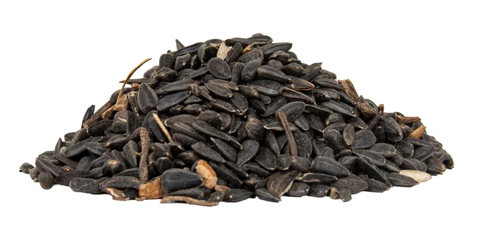 Slnečnica čierna 5kg