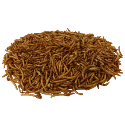 Sušené múčne červy 500g