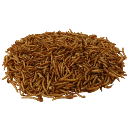 Sušene múčne červy 5kg Sušene múčne červy 5kg