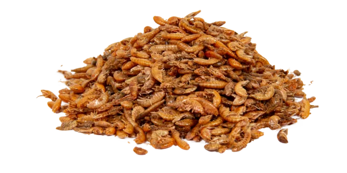 Sušený Gammarus 250 g Sušený Gammarus 250 g