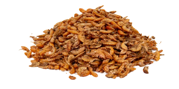 Sušený Gammarus 250 g Sušený Gammarus 250 g