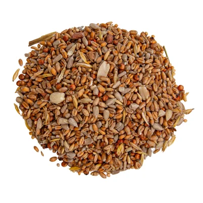Zmes krmív 10kg